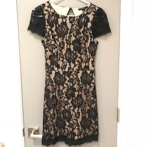 Little black lace dress